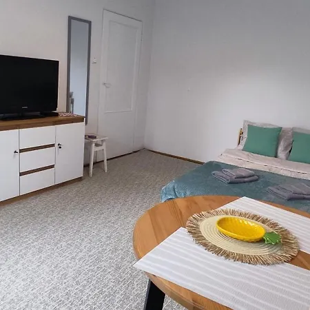 Blue Sea 1studio Apartman Gdańsk