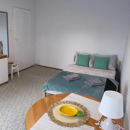 Blue Sea 1studio Apartament *